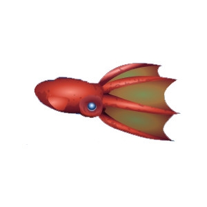 Vampire Squid